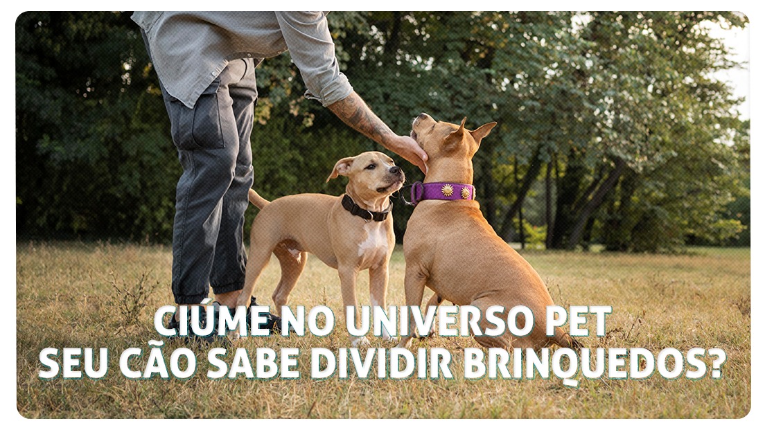 Ciúme no universo pet: Seu cão sabe dividir brinquedos? Entenda quais são as melhores formas de administrar esse comportamento